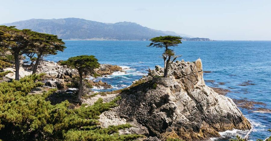 From San Francisco: Monterey and Carmel Day Tour - Key highlights worth planning around
