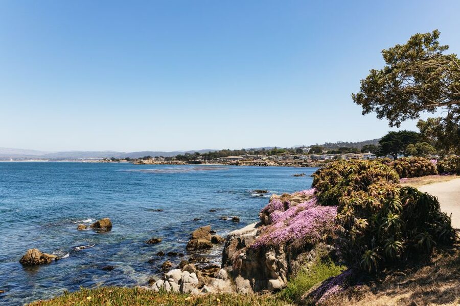 From San Francisco: Monterey and Carmel Day Tour - Guide style and how it changes the experience