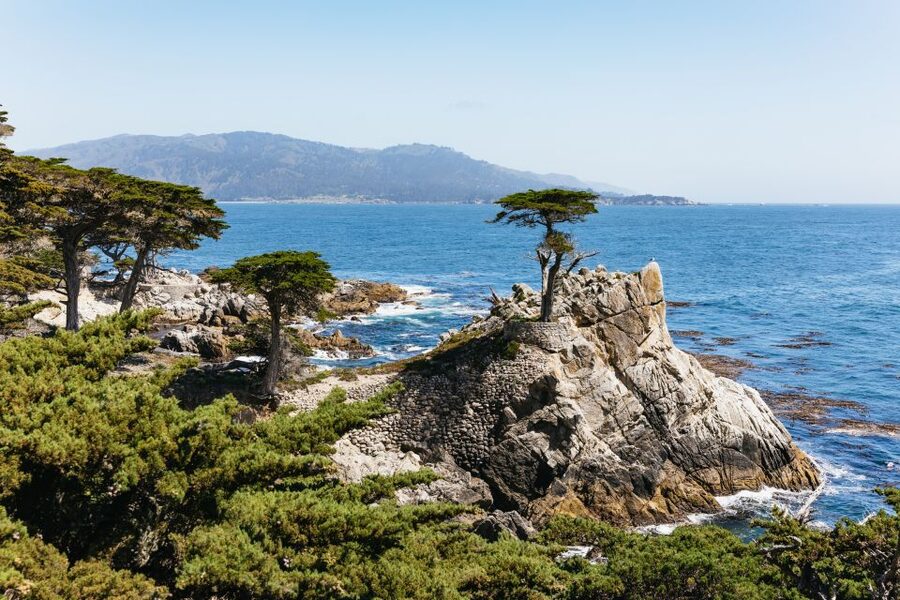 From San Francisco: Monterey and Carmel Day Tour - Pacific Coast Highway to Pigeon Point Lighthouse: the drive is the appetizer