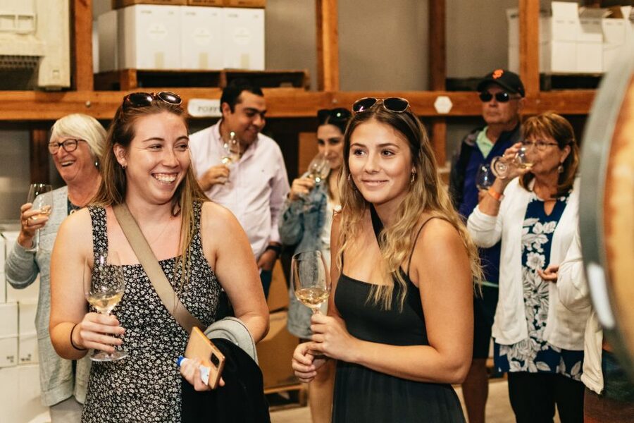 From San Francisco: Napa & Sonoma Valley Full-Day Wine Tour - Downtown Sonoma Square lunch break: more than just a rest stop