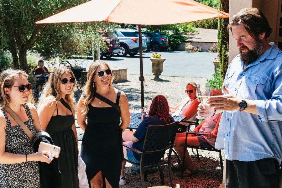 From San Francisco: Napa & Sonoma Valley Full-Day Wine Tour - Who this Napa and Sonoma tour is best for