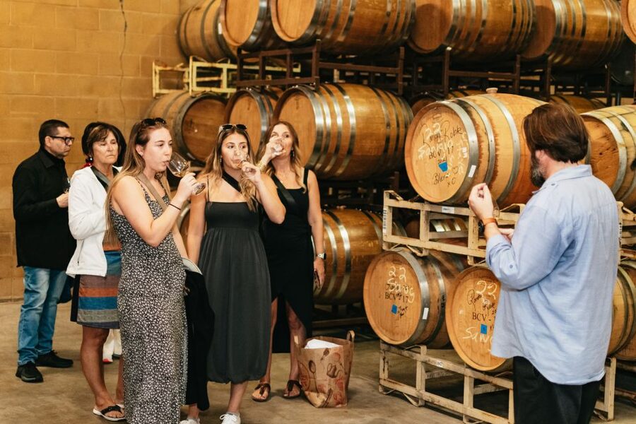 From San Francisco: Napa & Sonoma Valley Full-Day Wine Tour - What you actually do at each winery, 1 hour at a time
