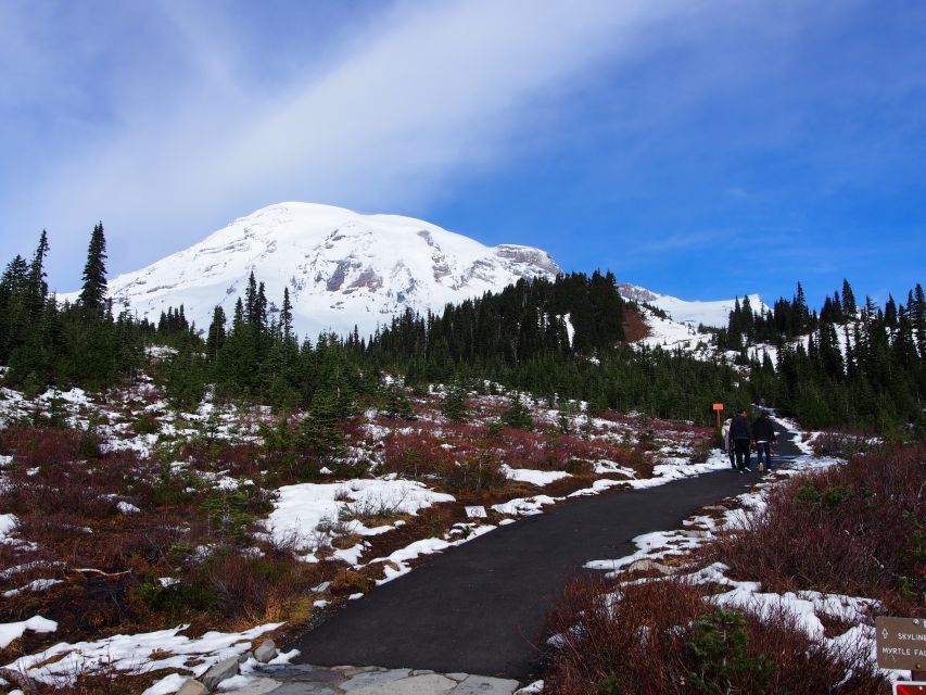 From Seattle: Mount Rainier National Park Guided Tour - Quick hits you will feel