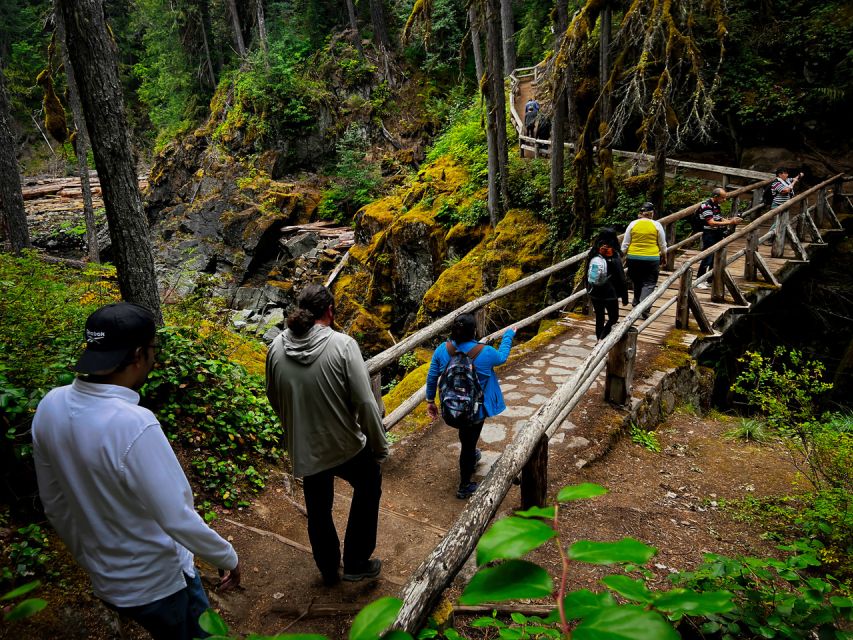 From Seattle: Mount Rainier National Park Guided Tour - Getting to Mount Rainier from Seattle with an AC minibus