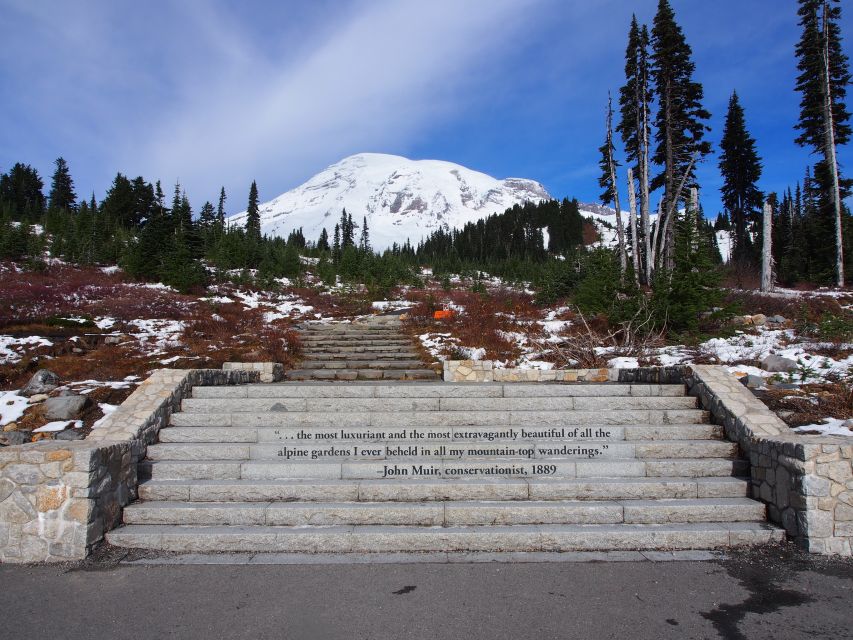 From Seattle: Mount Rainier National Park Guided Tour - Timing, lunch breaks, and a snack stop that actually helps