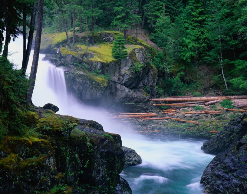 From Seattle: Mount Rainier National Park Guided Tour - What to pack (and what not to bring) for a smooth day