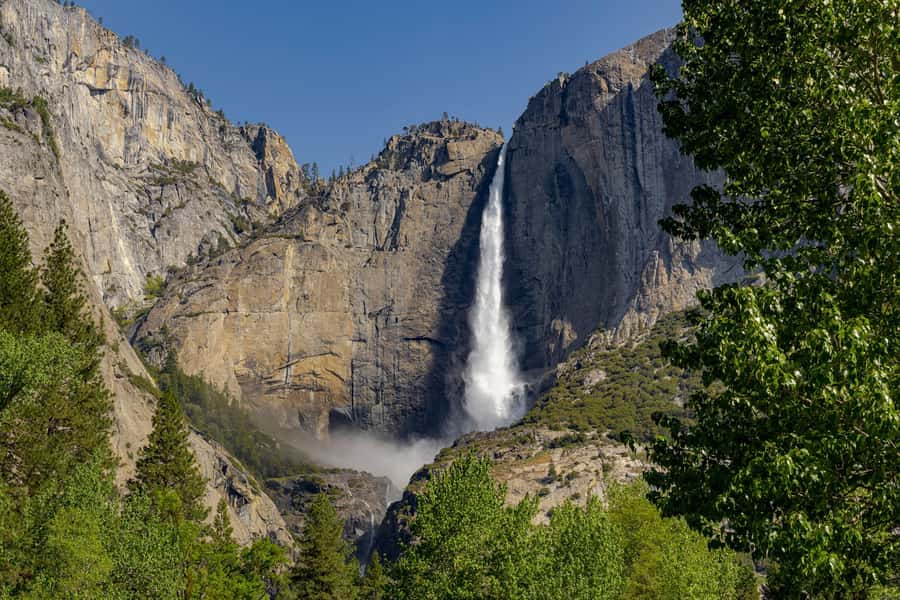 From SF: Yosemite Day Trip with Giant Sequoias Hike & Pickup - The early 5:30am pickup, plus a drive that stays comfortable