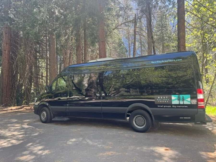 From SF: Yosemite Day Trip with Giant Sequoias Hike & Pickup - Tuolumne Grove giant sequoias hike: the one-mile walk with big rewards