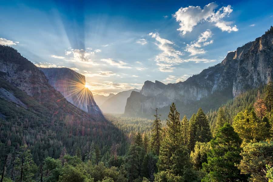From SF: Yosemite Day Trip with Giant Sequoias Hike & Pickup - What $239 is buying you, and why “not included” meals still works