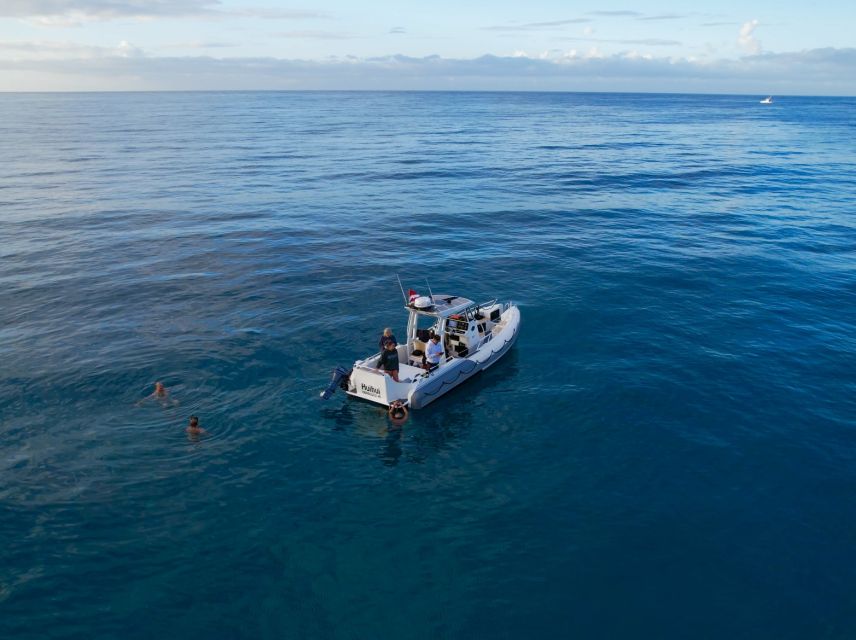 From Waikiki: Turtle Canyon Snorkeling Tour - Your time on the water plus the return cruise (where it stays enjoyable)