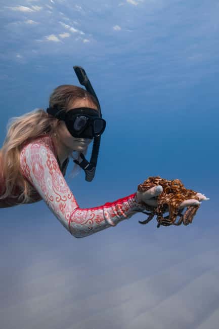 From Waikiki: Turtle Canyon Snorkeling Tour - Price and value: is $81 worth it for 90 minutes?
