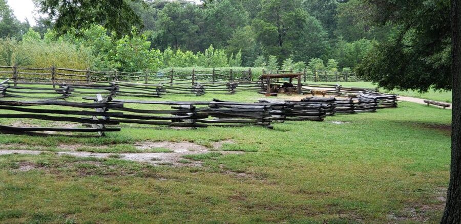 From Washington DC: Old Town Alexandria & Mount Vernon Tour - Should you book the Old Town Alexandria and Mount Vernon tour?