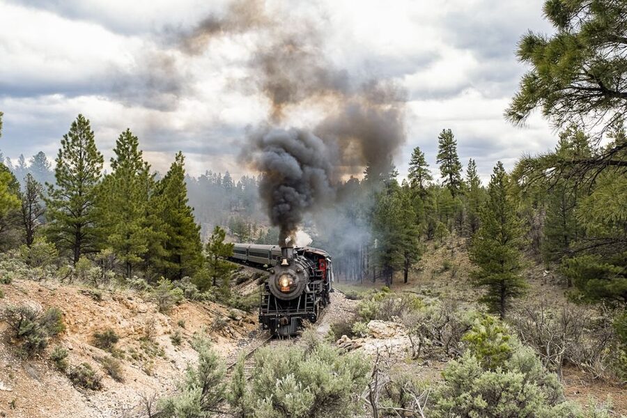 From Williams: Grand Canyon Railway Round-Trip Train Ticket - Coach vs First Class: where your comfort payoff shows up