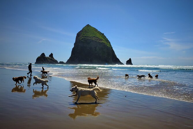 Full-Day Guided Oregon Coast Tour from Portland - Indian Beach: old-growth forest vibes and a sandy break from the cliffs