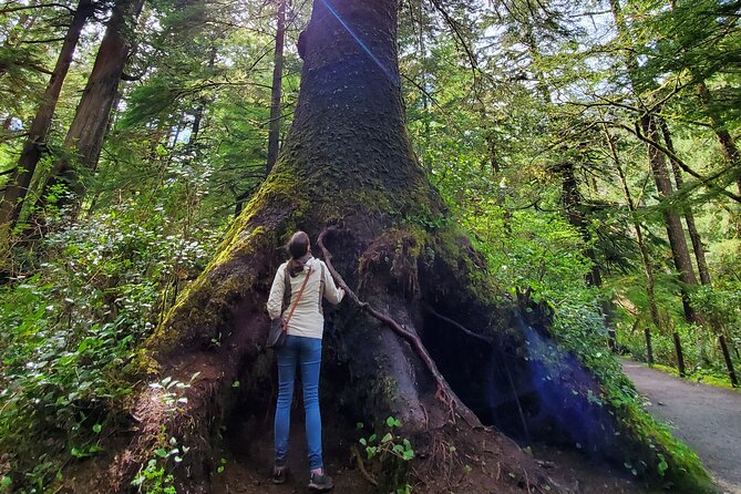 Full-Day Guided Oregon Coast Tour from Portland - Cannon Beach lunch time: shops, art, and choosing your own calories