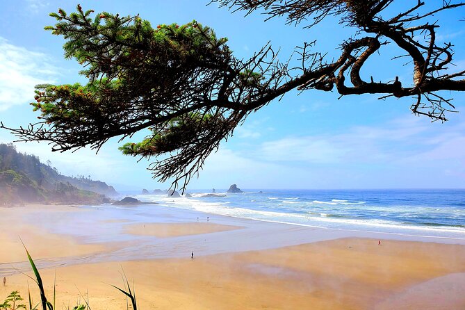 Full-Day Guided Oregon Coast Tour from Portland - Haystack Rock: sea-bird nesting and tide pool magic