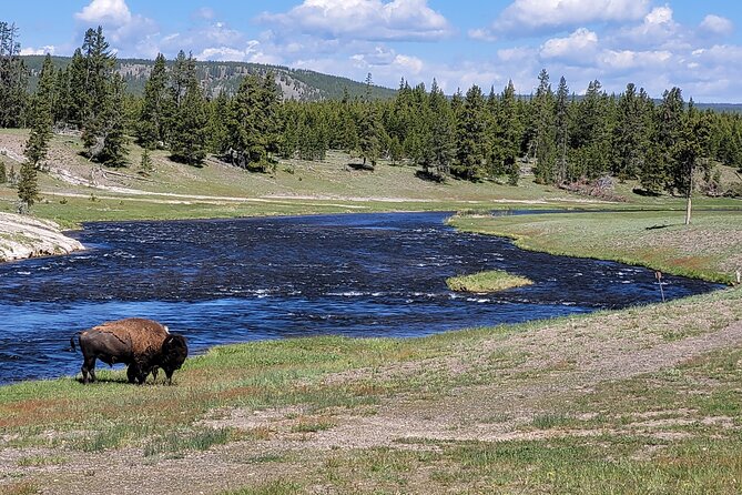 Full-Day Guided Yellowstone Day Tour - Artist Point and the Grand Canyon of the Yellowstone: Falls With Real Wow