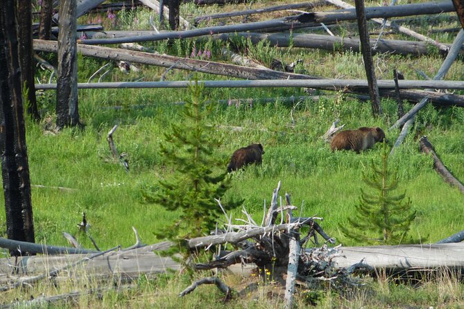 Full-Day Guided Yellowstone Day Tour - West Thumb and Yellowstone Lake: Finish Strong, With Stories Worth Listening To