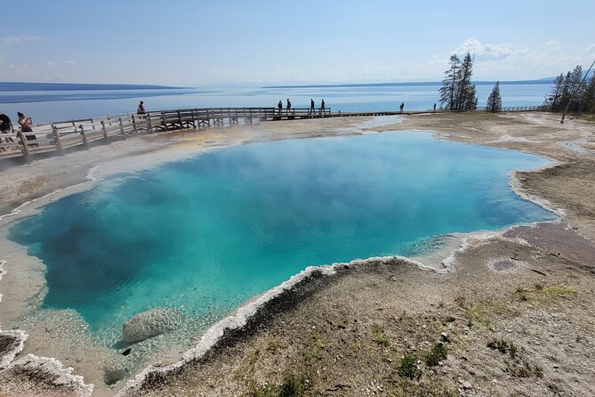 Full-Day Guided Yellowstone Day Tour - Lunch, Gear, and the Guides That Make or Break the Day
