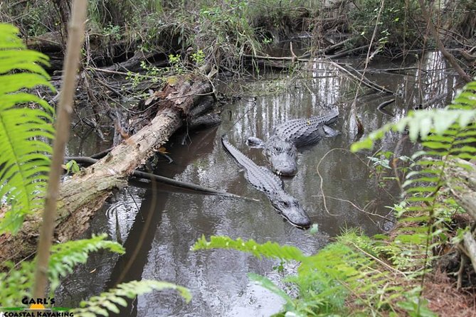 Full-Day Kayak Adventure in the Everglades - The 12:00 pm Start, Small Group Size, and What the 8 Hours Add Up To
