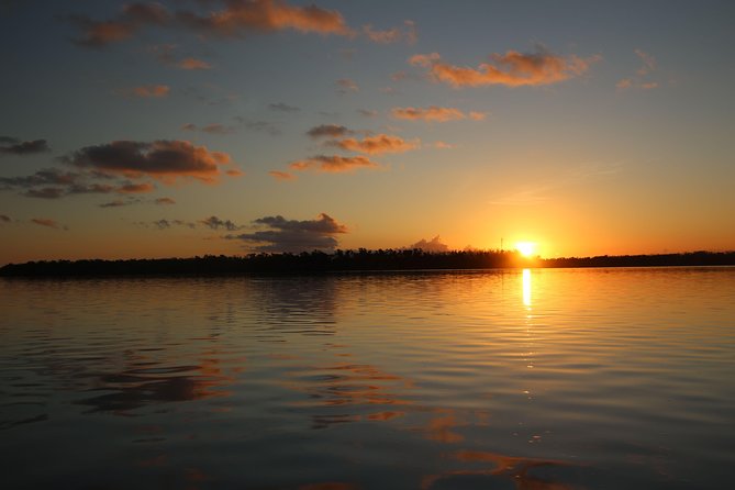Full-Day Kayak Adventure in the Everglades - Choosing a Single or Double Kayak (and How to Decide)