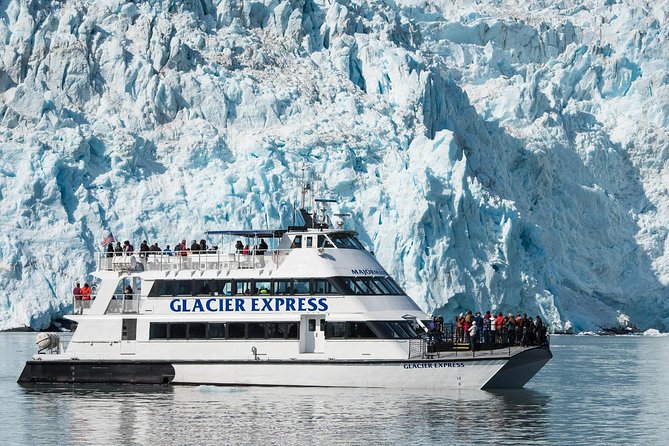 Full-Day Kenai Fjords National Park Cruise - Seward Catamaran Timing: The 7.5 Hours That Make This Worth It