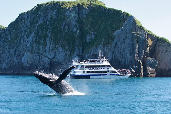 Full-Day Kenai Fjords National Park Cruise - The Glacier Plan: Bear Glacier, Holgate Glacier, and Aialik Bay Calving