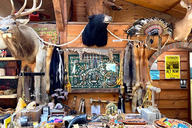 Gem Mining and Goat Farm Walking Tour in Hendersonville - Timing, hours, and the date range you should plan around