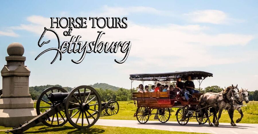 Gettysburg: Horse-Drawn Carriage Battlefield Tour - Guides, questions, and the “you can actually talk” vibe