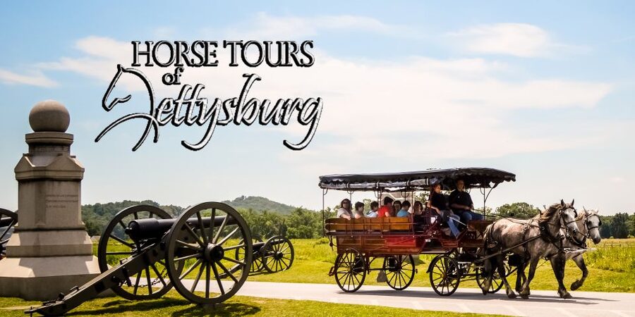Gettysburg: Horse-Drawn Carriage Battlefield Tour - The horses, the short break, and how to stay comfortable