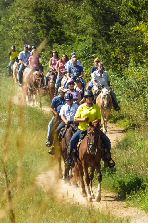Gettysburg: Licensed Guided Battlefield Horseback Tour - Key highlights at a glance