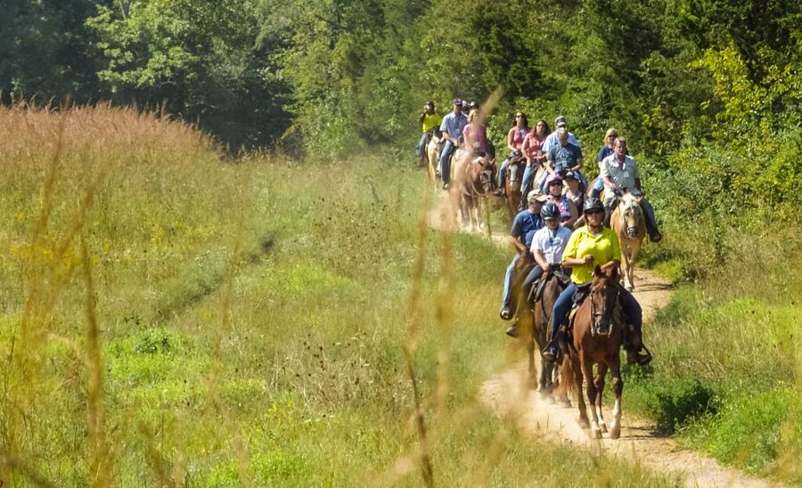 Gettysburg: Licensed Guided Battlefield Horseback Tour - The 2-hour experience, and how the route teaches the battle