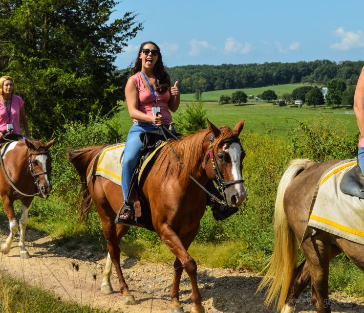Gettysburg: Licensed Guided Battlefield Horseback Tour - Riding inside Gettysburg National Military Park