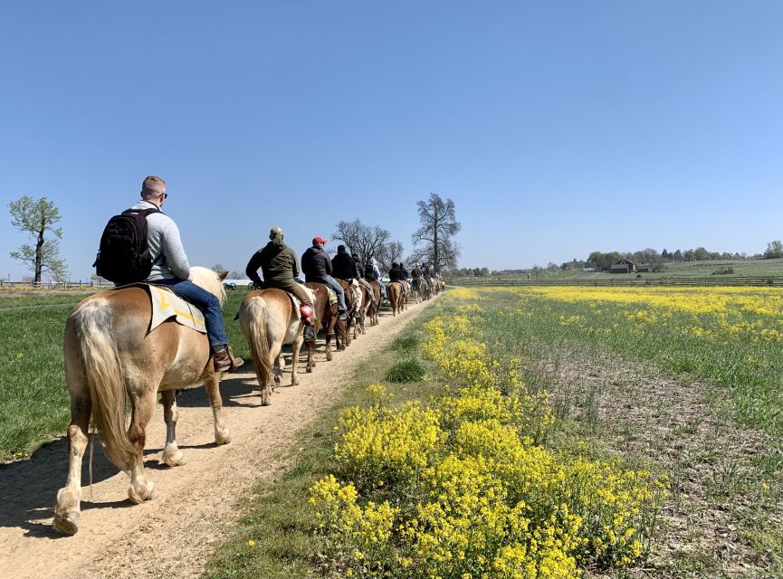Gettysburg: Licensed Guided Battlefield Horseback Tour - Spangler Farm: Peach Orchard and Little Round Top viewpoints