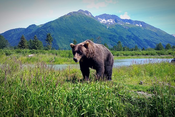 Glacier Hike on Matanuska Glacier - Best Vacation Value - Wildlife viewing on the way: the day is more than ice