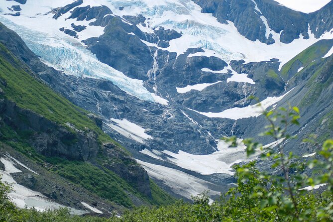 Glacier View & Wildlife Anchorage Adventure Tour - The Turnagain Arm drive, scenery that works even when wildlife is slow