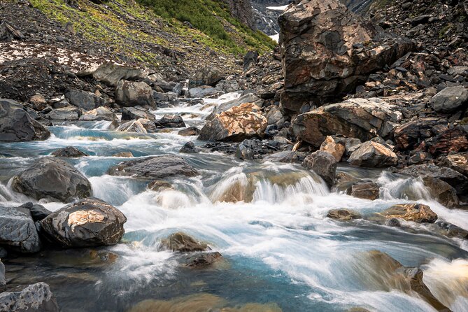 Glacier View & Wildlife Anchorage Adventure Tour - Price and what you are really paying for at $177 per person