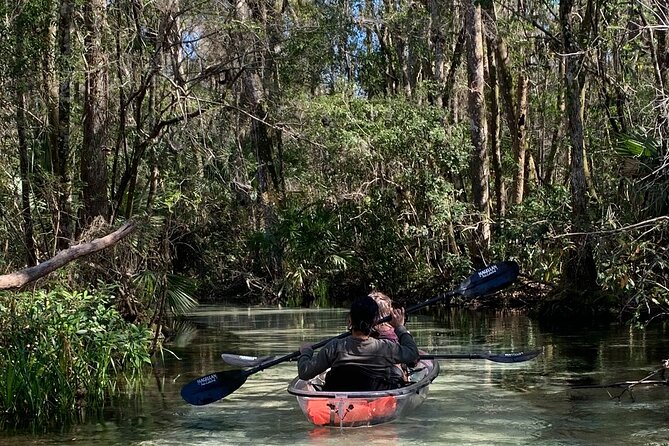 Glass Bottom Kayak Eco Tour through Rainbow Springs - Key things to know before you paddle