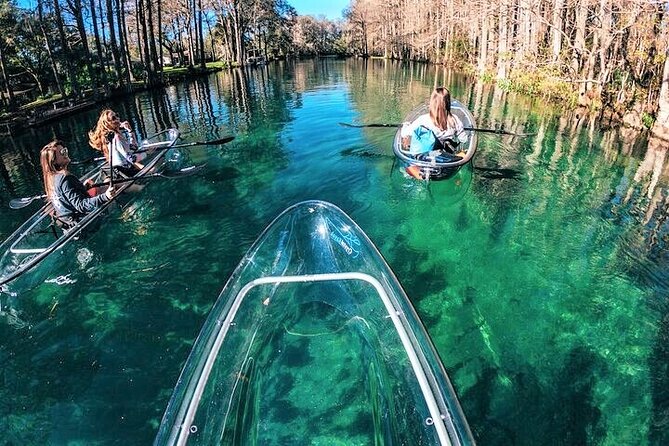 Glass Bottom Kayak Eco Tour through Rainbow Springs - Wildlife spotting with a front-row clear-kayak view