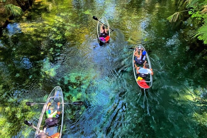Glass Bottom Kayak Tours of Silver Springs - Key things to know before you go