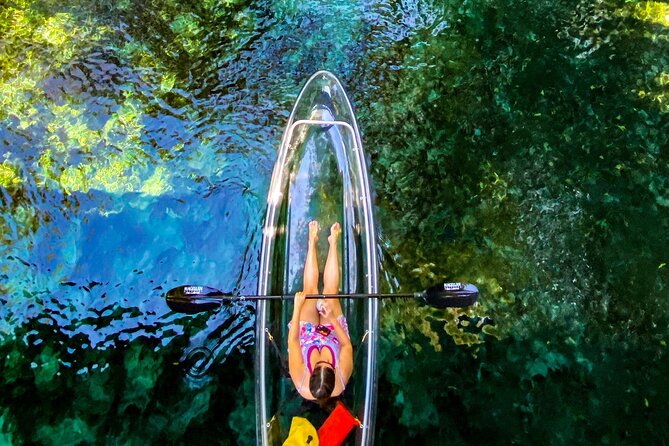 Glass Bottom Kayak Tours of Silver Springs - The paddle route: why glass-bottom kayaks change the whole experience