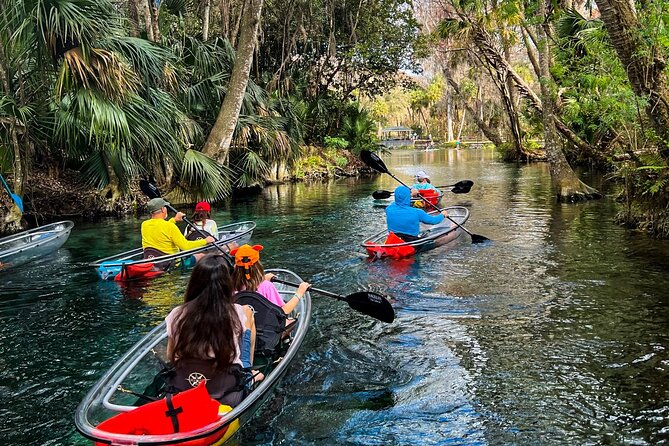 Glass Bottom Kayak Tours of Silver Springs - Where you meet and how the first minutes matter