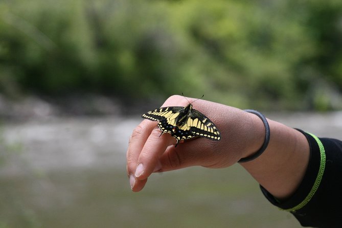 Glenwood Springs Half-Day Rafting Trip - Stop 1: Colorado River, where the action starts