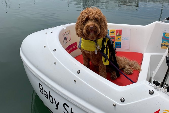Glow Nightime Pedal Boat Rental in San Diego Bay - Blankets, dogs, and that small pet clean-up fee