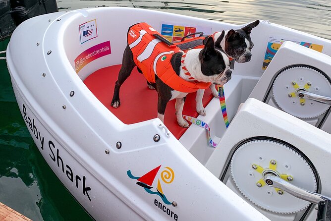 Glow Nightime Pedal Boat Rental in San Diego Bay - Price and value: $105 per group for a full glow-hour
