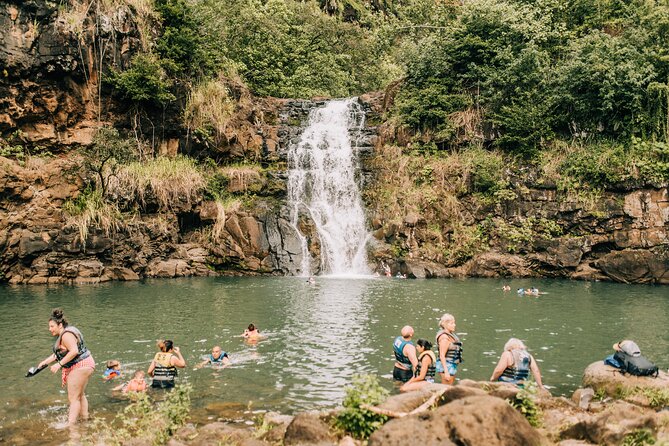 Go City: Oahu All-Inclusive Pass with over 45 Things To Do - Hikes and waterfalls: Diamond Head, Manoa Falls, Waimea Valley, Makapuu