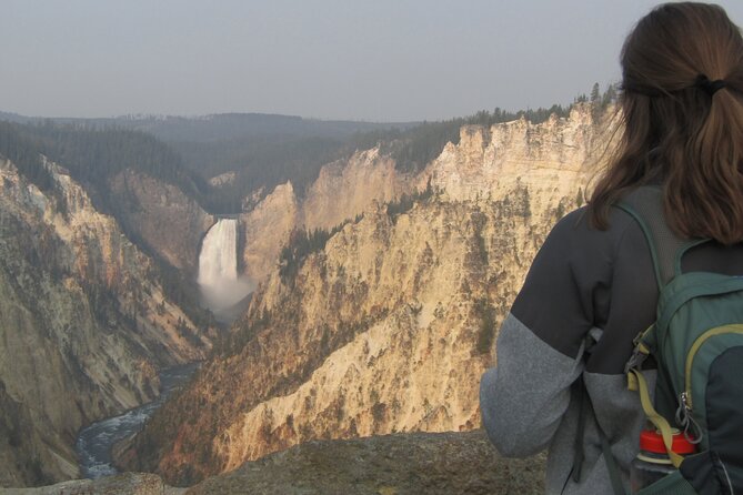 Grand Canyon of the Yellowstone Rim and Loop Hike with Lunch - Stop 3: Artist Point and the Lower Falls viewpoints
