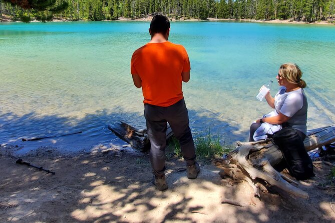 Grand Canyon of the Yellowstone Rim and Loop Hike with Lunch - Stop 4: back to the rim, then into forest and thermal ground