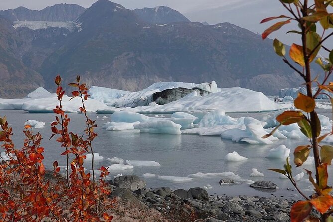 Grand Knik Helicopter Tour - 2 hours 3 landings - ANCHORAGE AREA - Weather Windows, Winter Changes, and Cancellations That Happen