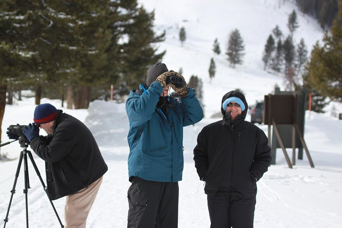 Grand Teton and National Elk Refuge Winter Wonderland Full Day Adventure - National Elk Refuge: sleigh time plus elk migration context